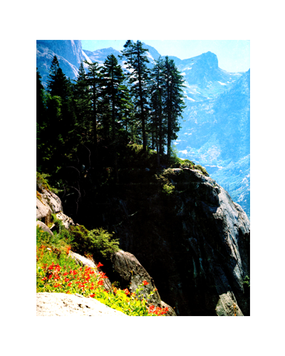 SEQUOIS-KINGS CANNYON: THE STORY BEHIND THE SCENERY (FN)