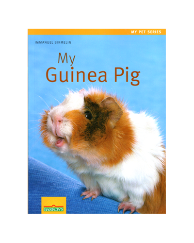 MY GUINEA PIG (FN)