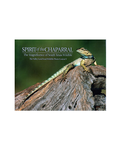 SPIRIT OF THE CHAPARRAL (N)