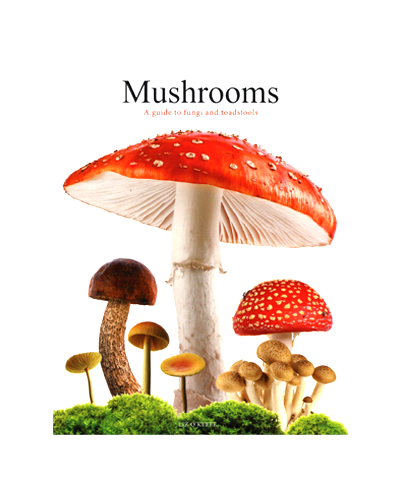 A GUIDE TO FUNGI AND TOADSTOOLS (N)