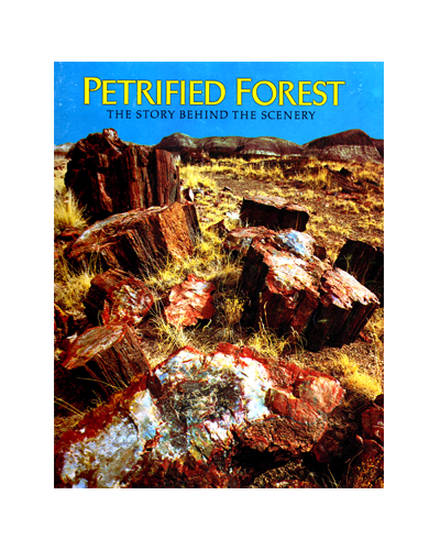 PETRIFIED FOREST: THE STORY BEHIND THE SCENERY (FN)